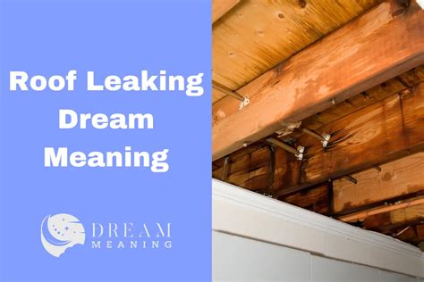 dreams about roof leaking|What Does Dreaming Of A Leaking Roof Mean For Your。